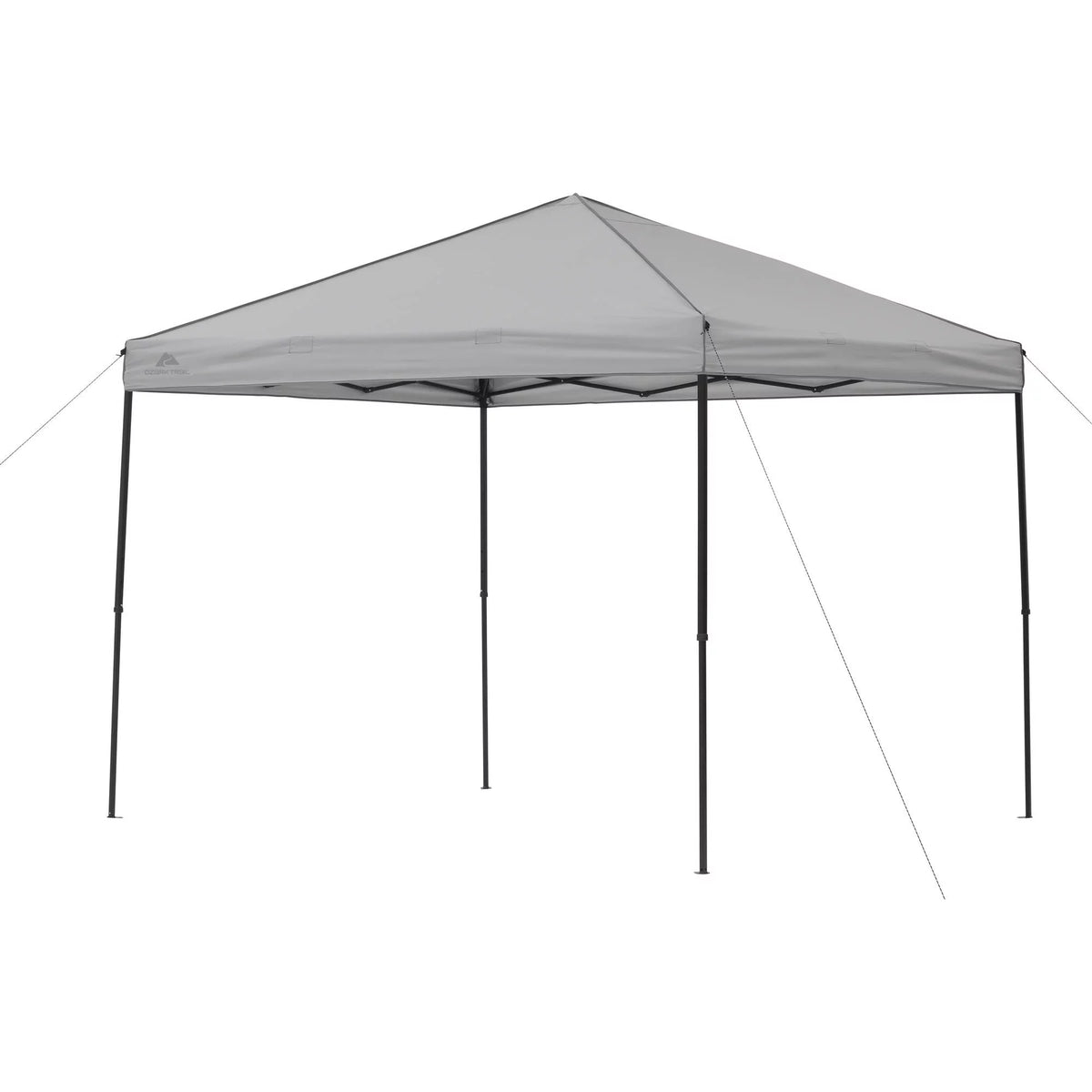 8' x 10' Gray Instant Outdoor Canopy N42812