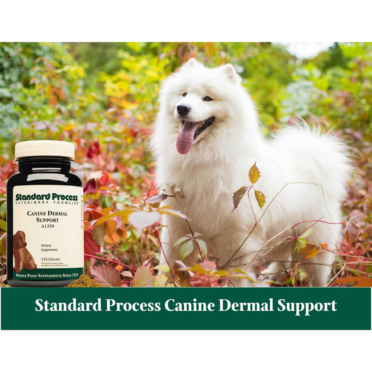 Canine Dermal Support D169