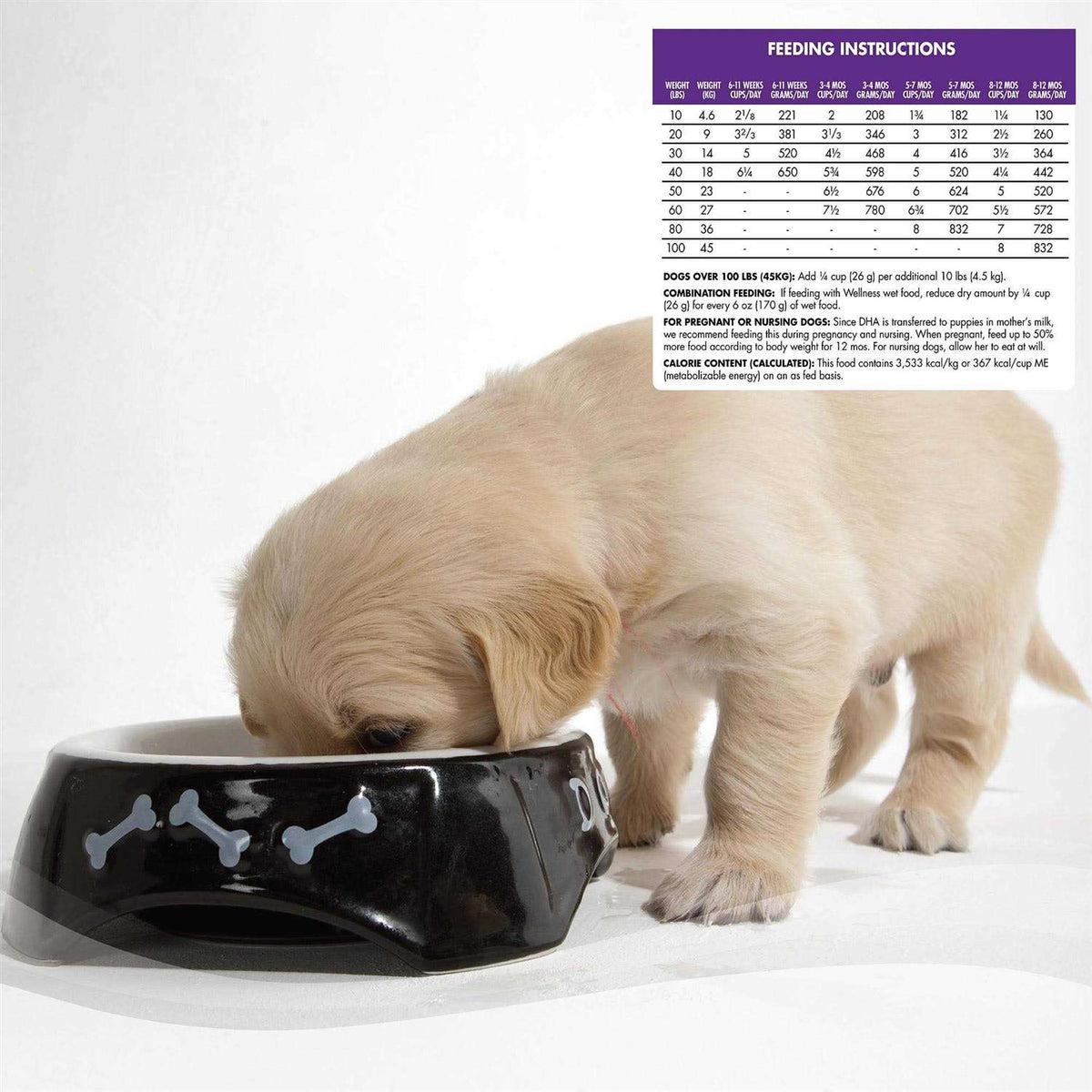 Large Breed Puppy Dry Dog Food P5105