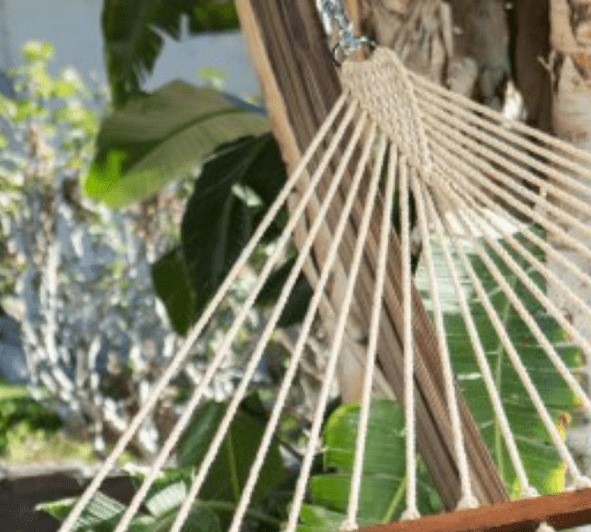 Quilted Hammock B99299
