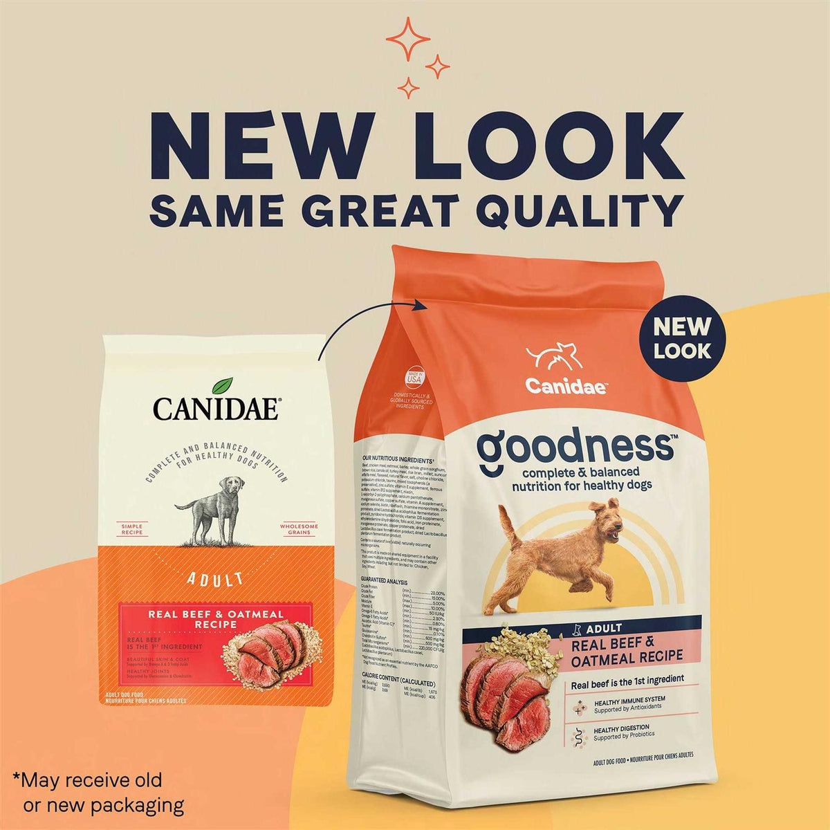 Adult Dry Dog Food Beef and Oatmeal S706850