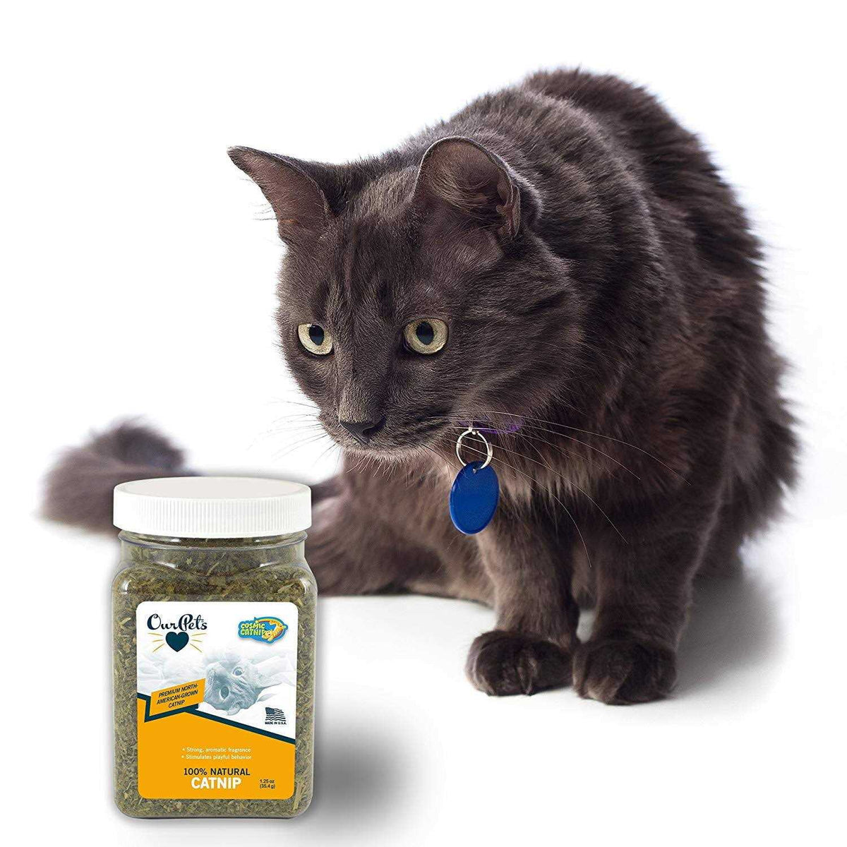 Catnip O81554