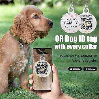 Rolled Leather Dog Collar with QR ID Dog Tag N256309