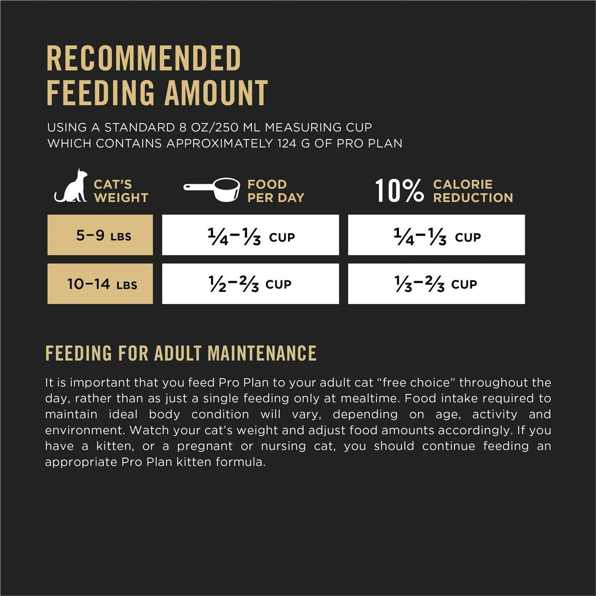 Indoor Salmon & Rice Cat Food R934