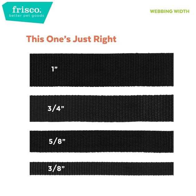 Ombre Style Dog Collar Q7886