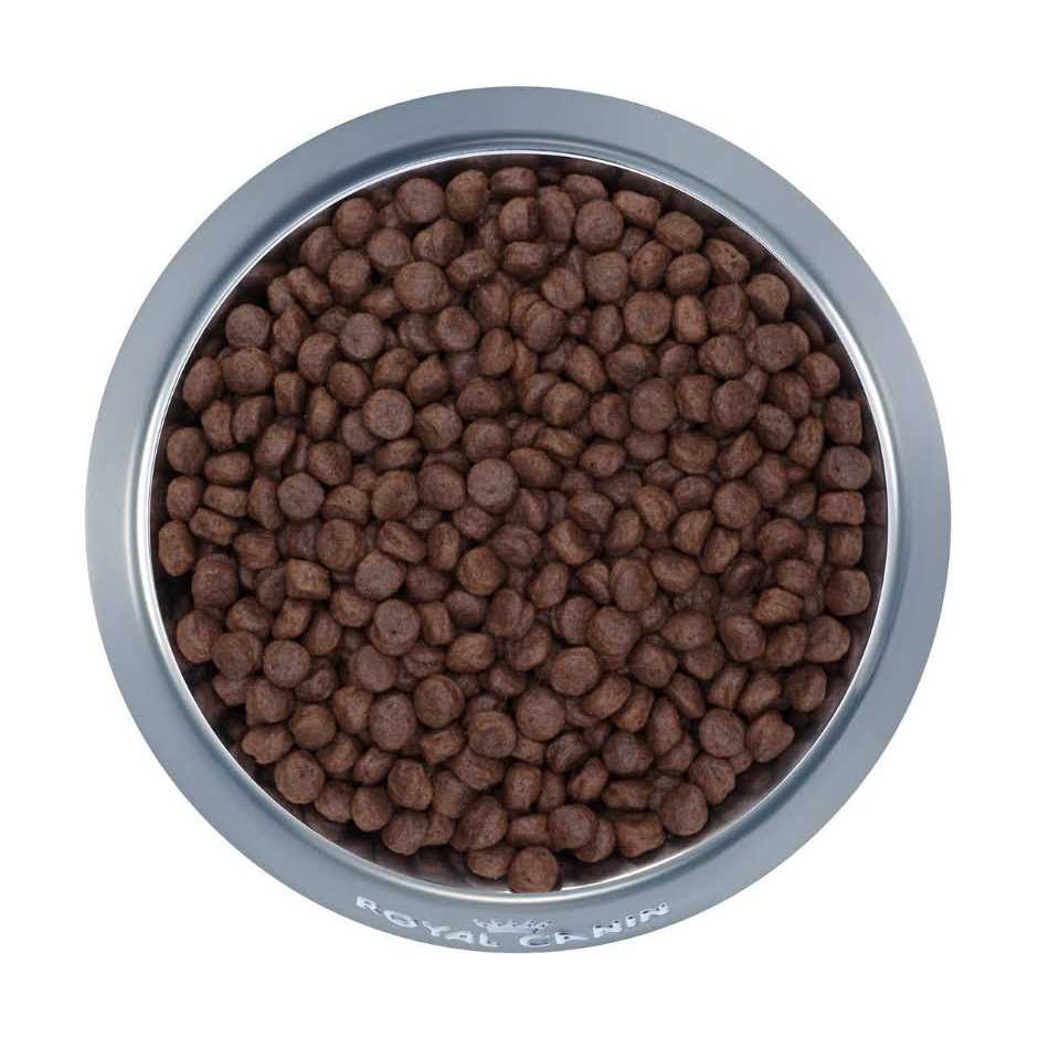 Selected Protein Adult Dry Dog Food H502