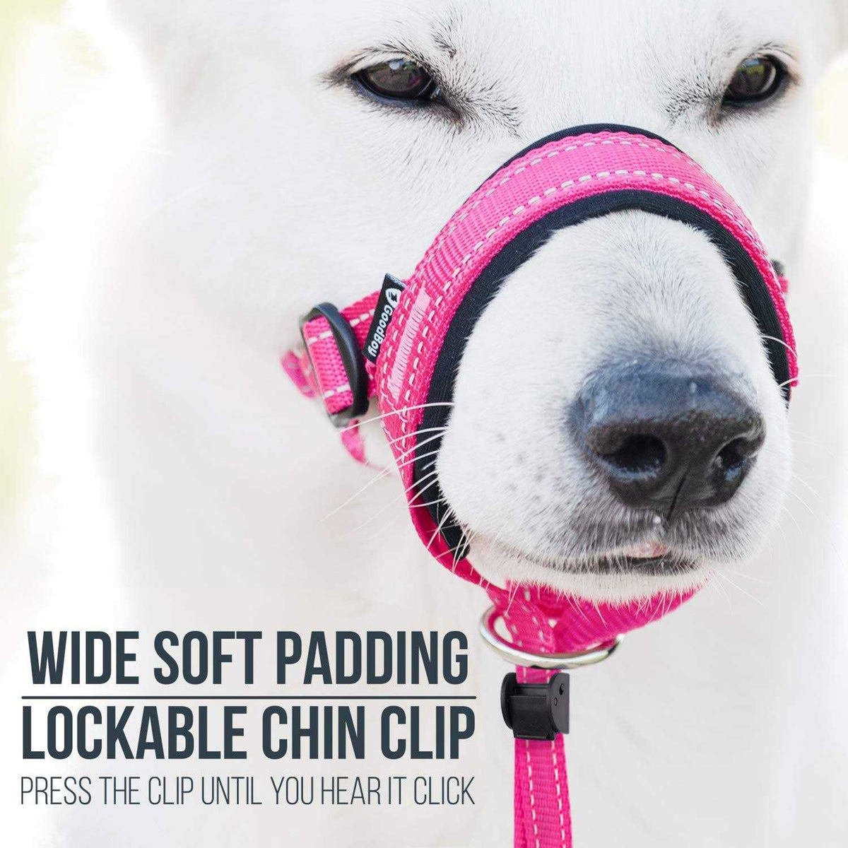 Dog Head Halter with Safety Strap Z29159