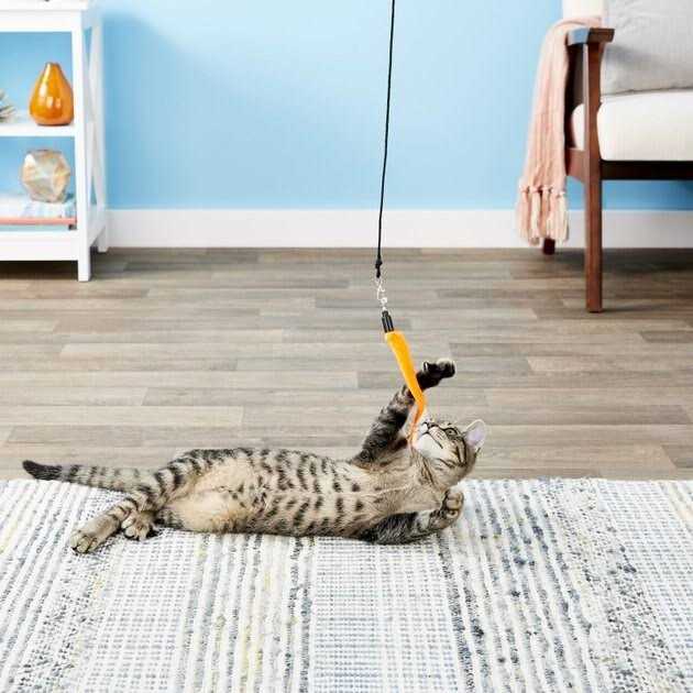 5 Piece Replacement Pack of Worms for Cat and Kitten Toy Wands X6231