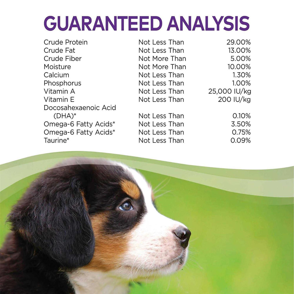 Large Breed Puppy Dry Dog Food P5105