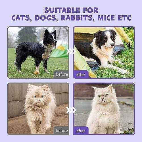 Pet Cleaning Deodorizing Bathing Wipes V15113