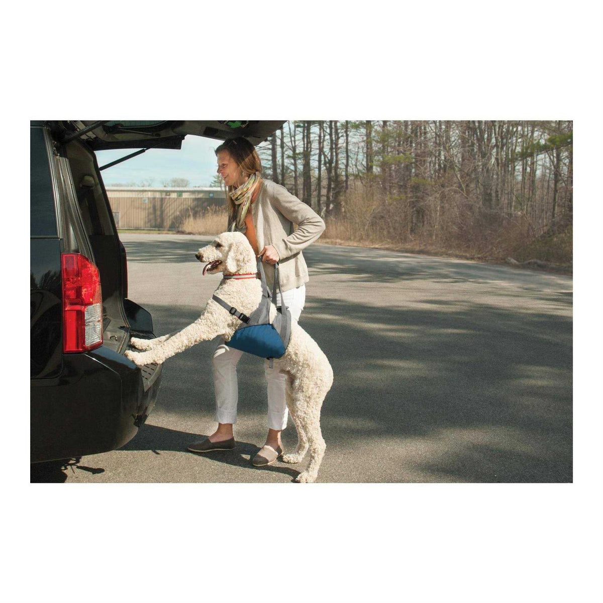 Dog Lifter S963632