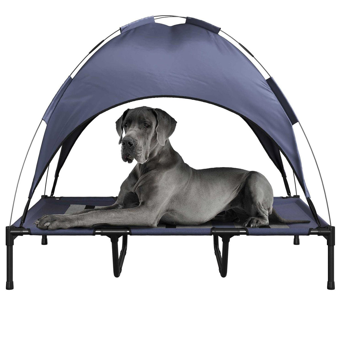 Elevated Dog Bed with Canopy F227