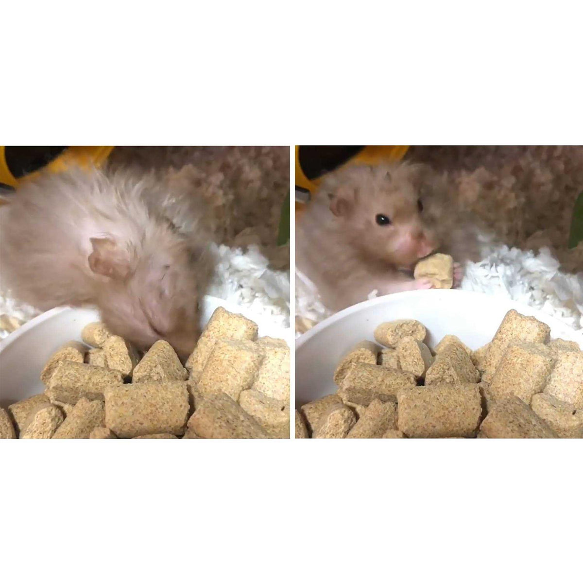 Rodent Blocks Small Animal Food L180