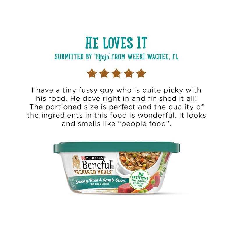 Savory Rice & Lamb Stew Wet Dog Food O570