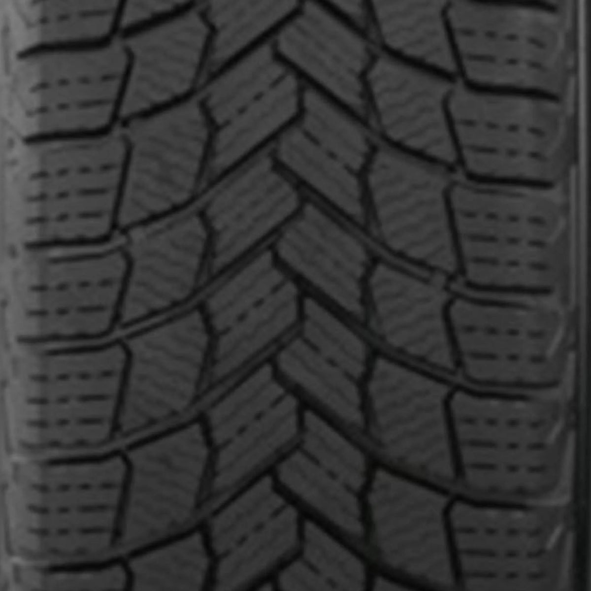 Winter Passenger Tire V397399