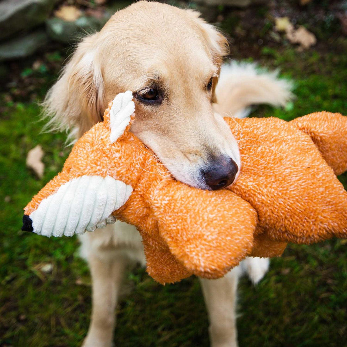 Plush Dog Toy U456