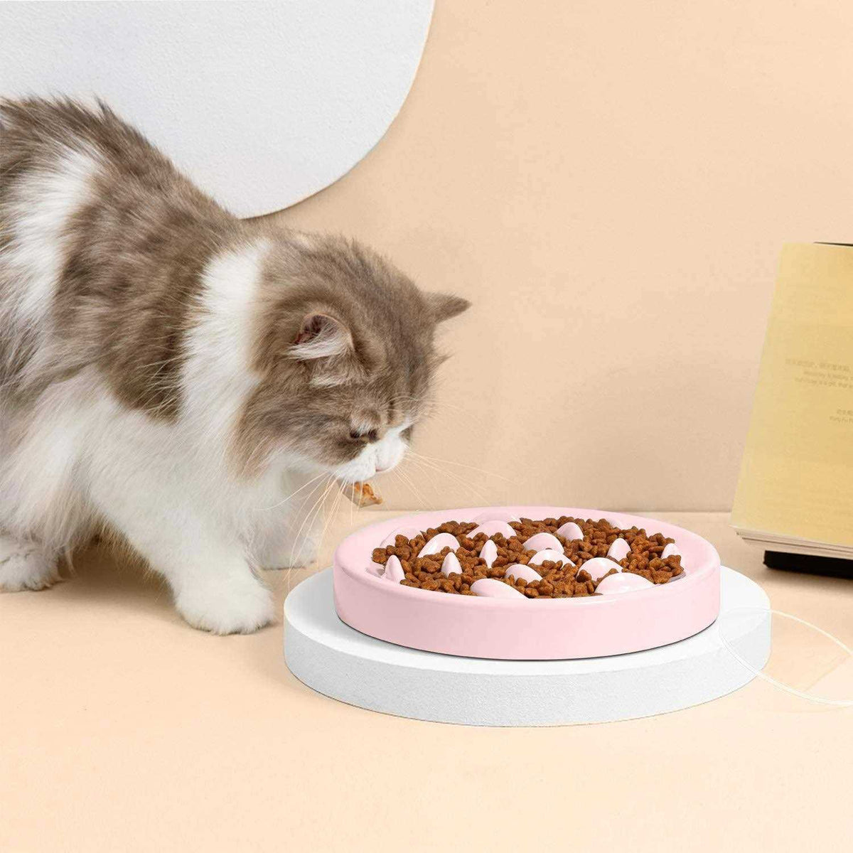 Slow Feeder Bowl for Cats and Small Dogs P960