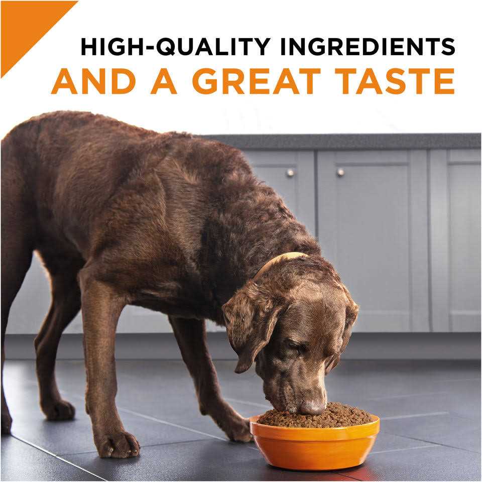 Beef & Rice Wet Dog Food J748
