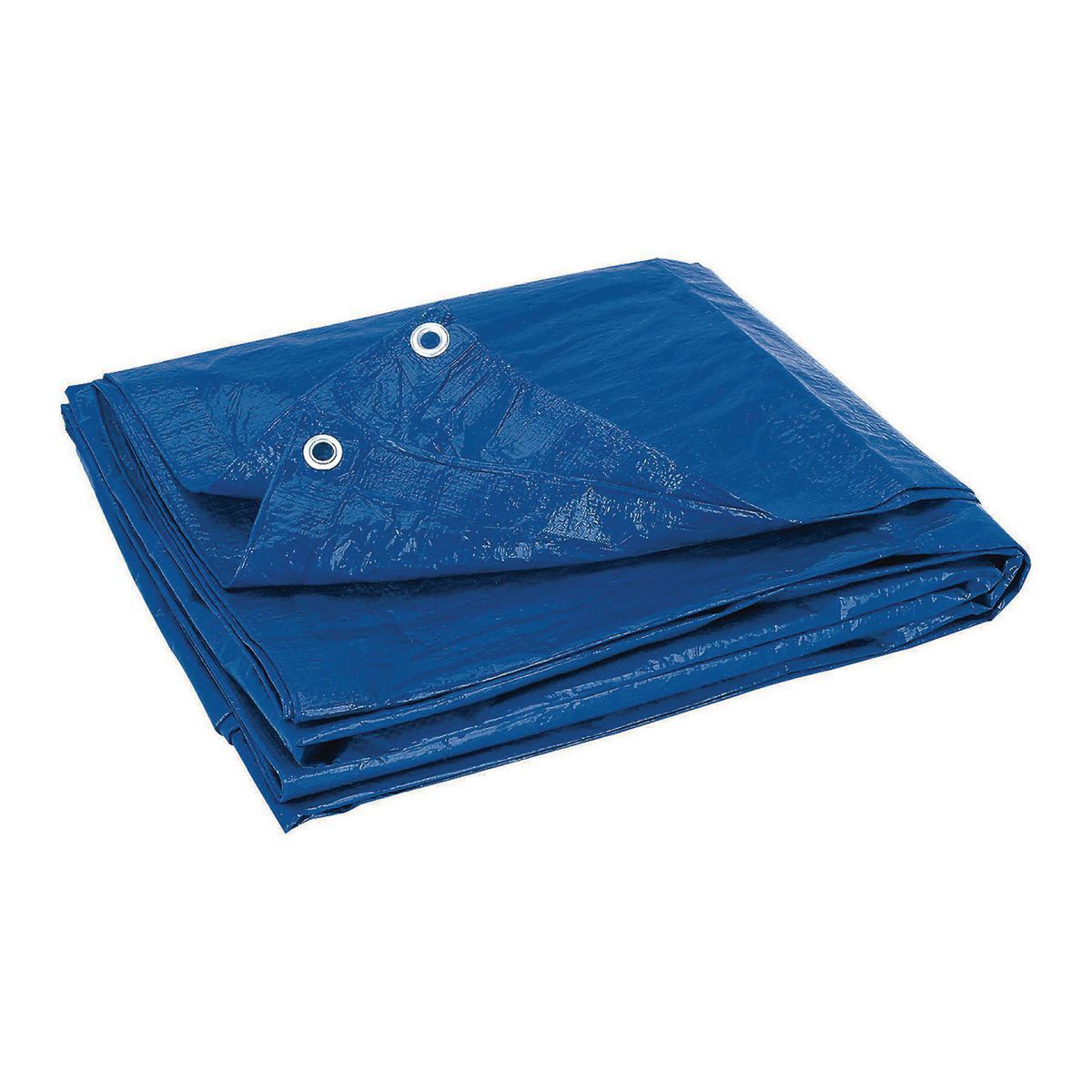 Blue All-Purpose Weather-Resistant Tarp V210245