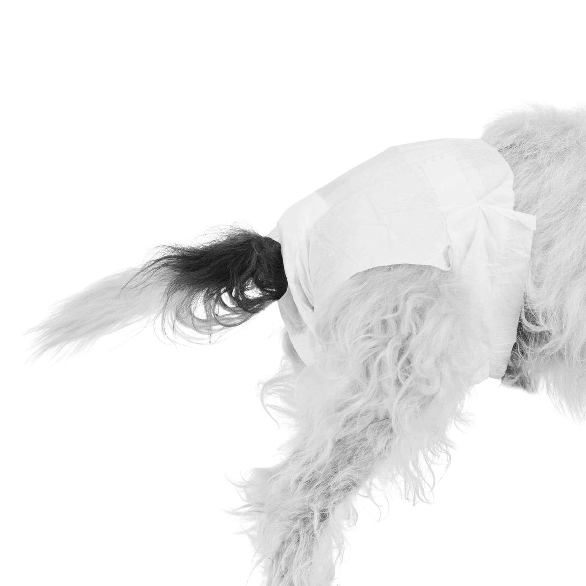 Disposable Pet Diapers O287