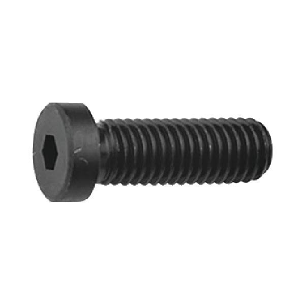 M6 x 10mm Low Head Cap L6243