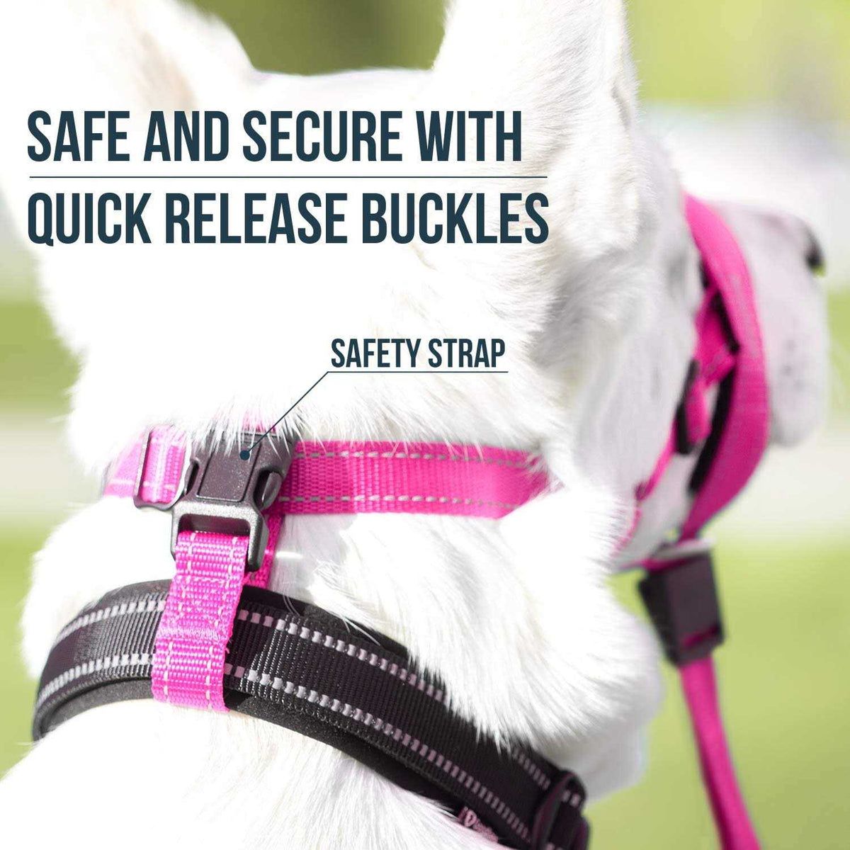 Dog Head Halter with Safety Strap Z29159