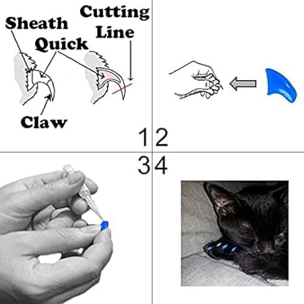 Soft Nail Caps for Cats V350