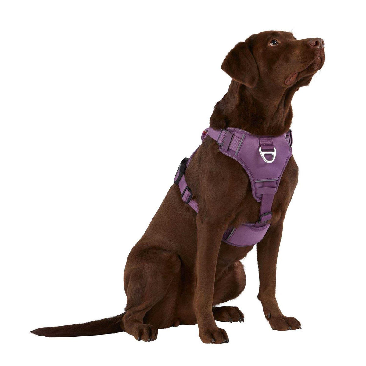 Neoprene Dog Harness E8802