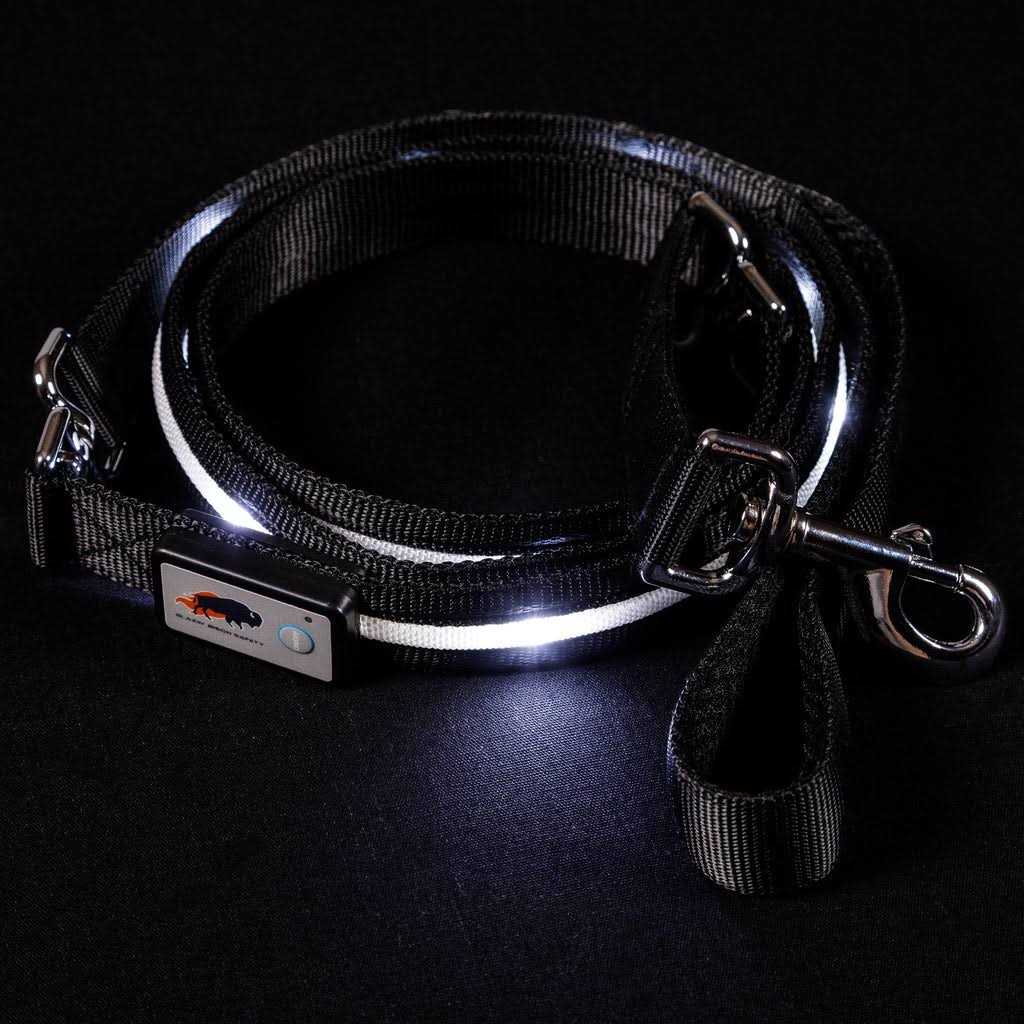 LED Dog Leash USB Rechargeable G51548
