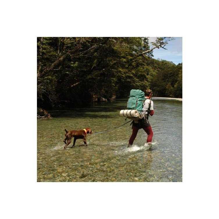 Hands Free Bungee Dog Leash H7680