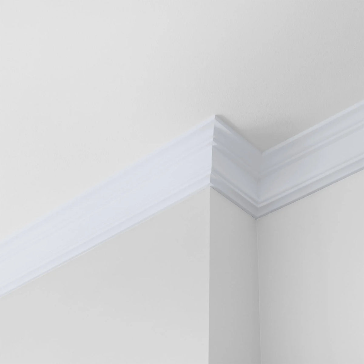 Interior Paint Eggshell 1 Gallon D899