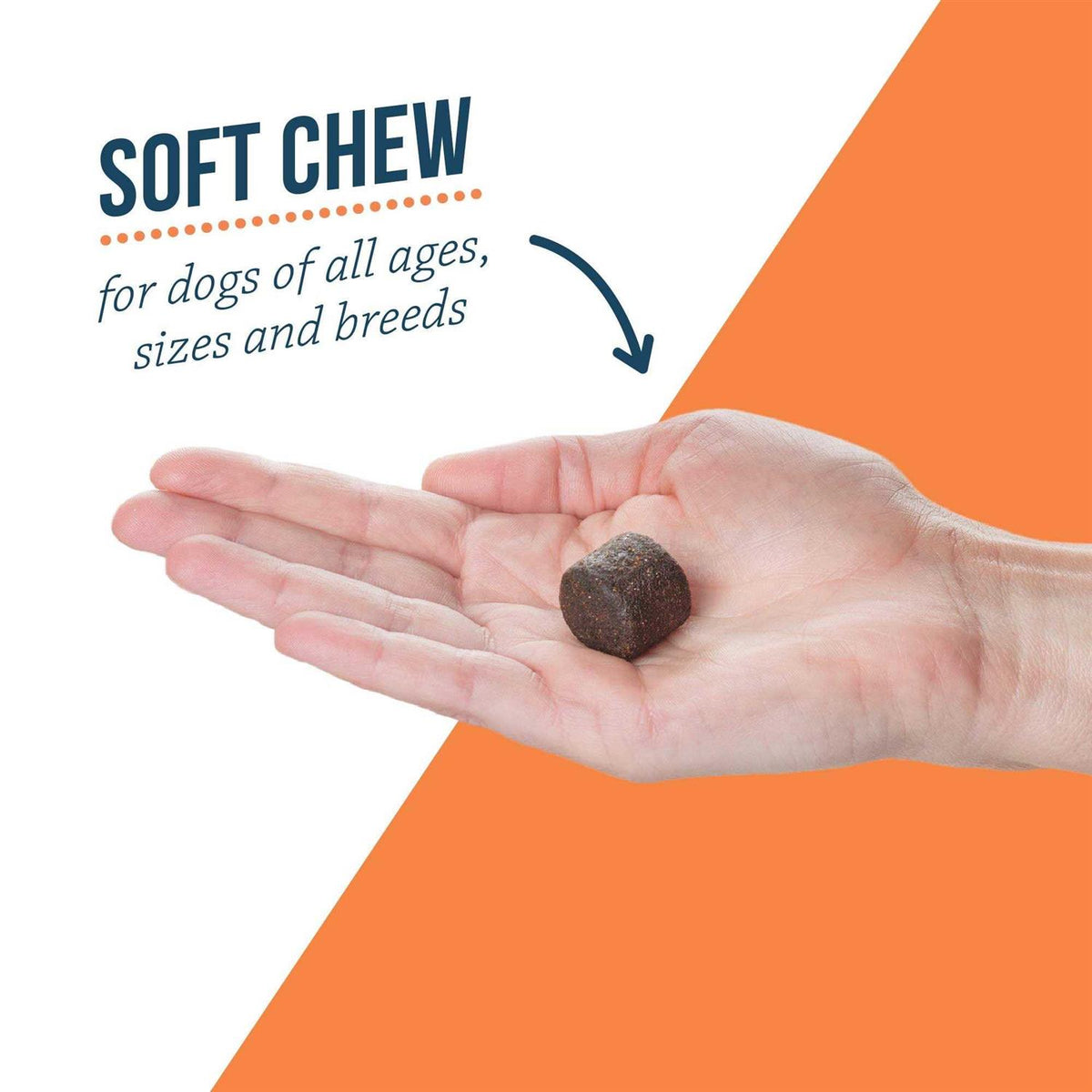 Joint Supplement Soft Chews for Dogs A35039
