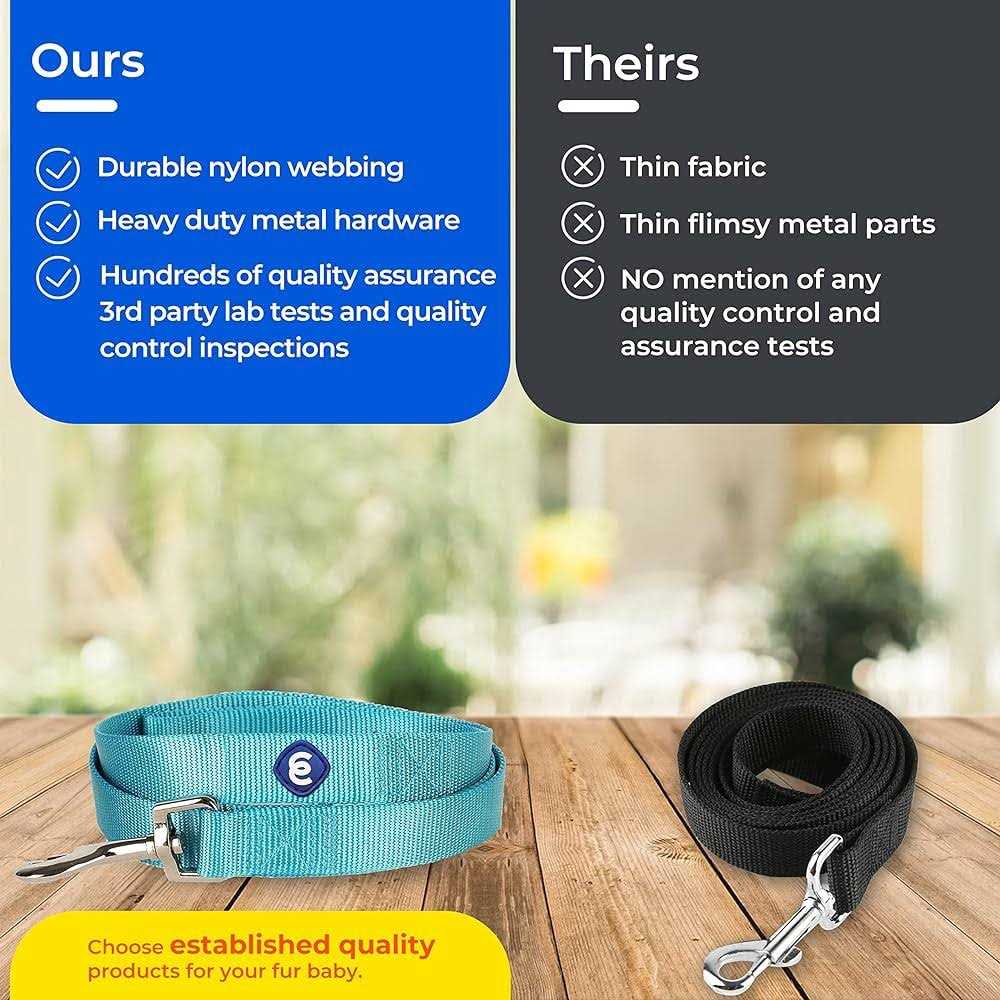 Classic Dog Leash E29738