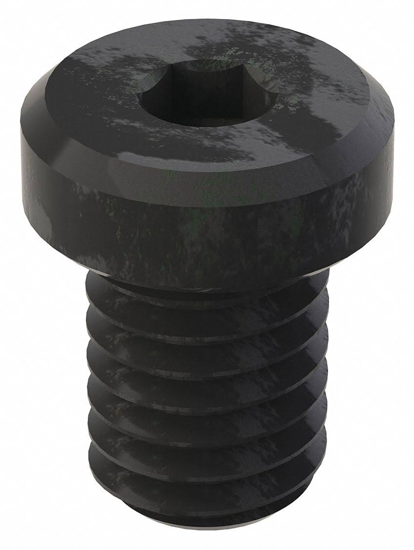 Black Oxide Alloy Steel Socket Head Cap Screw S829