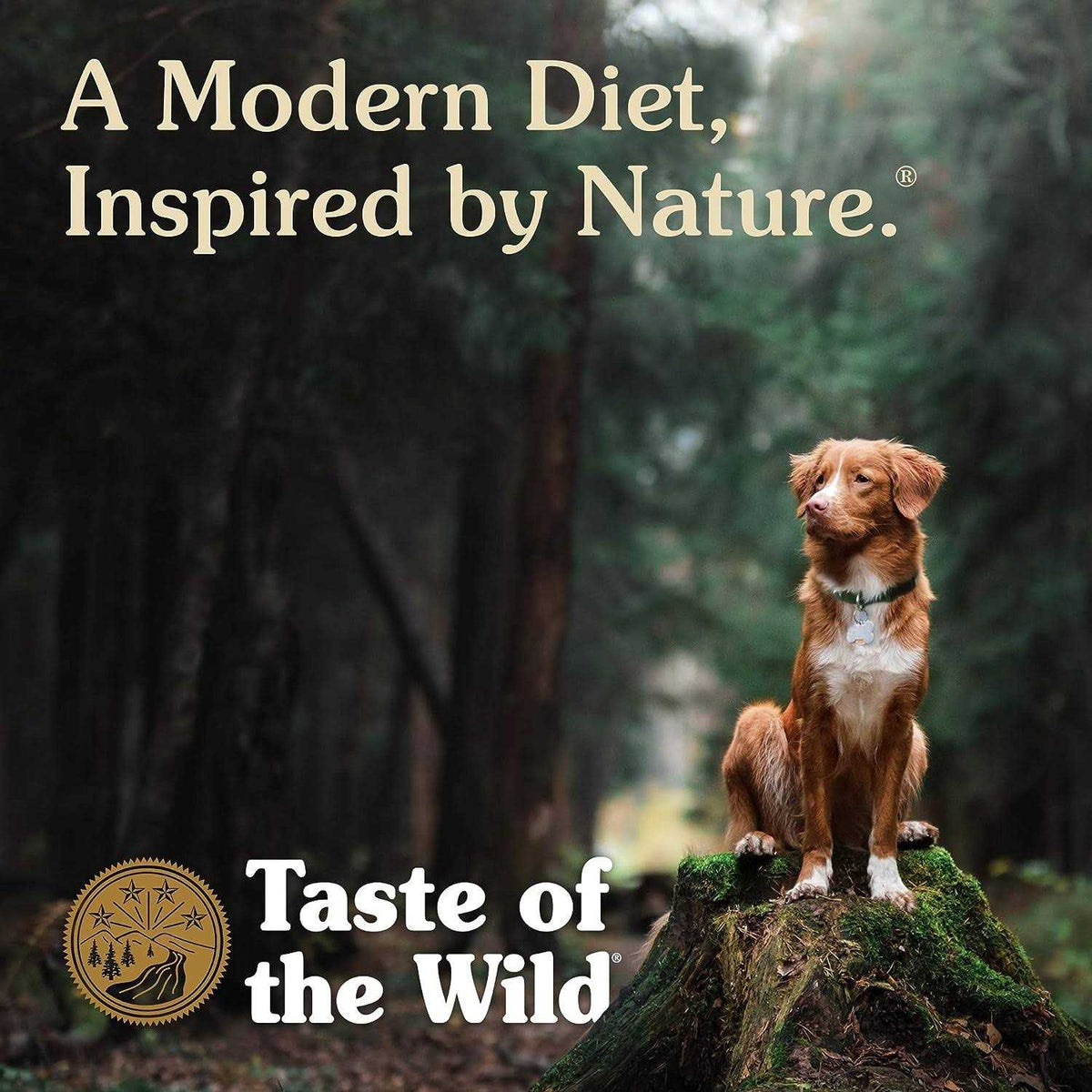 Dog Food M79017