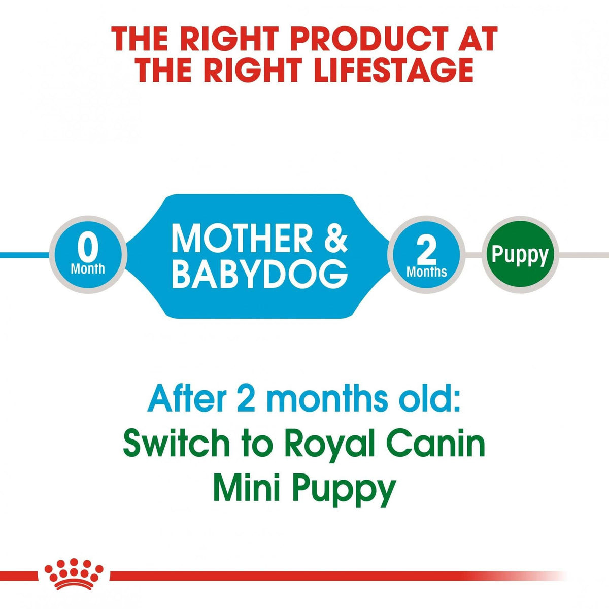 Mini Starter Junior 3kg F482859