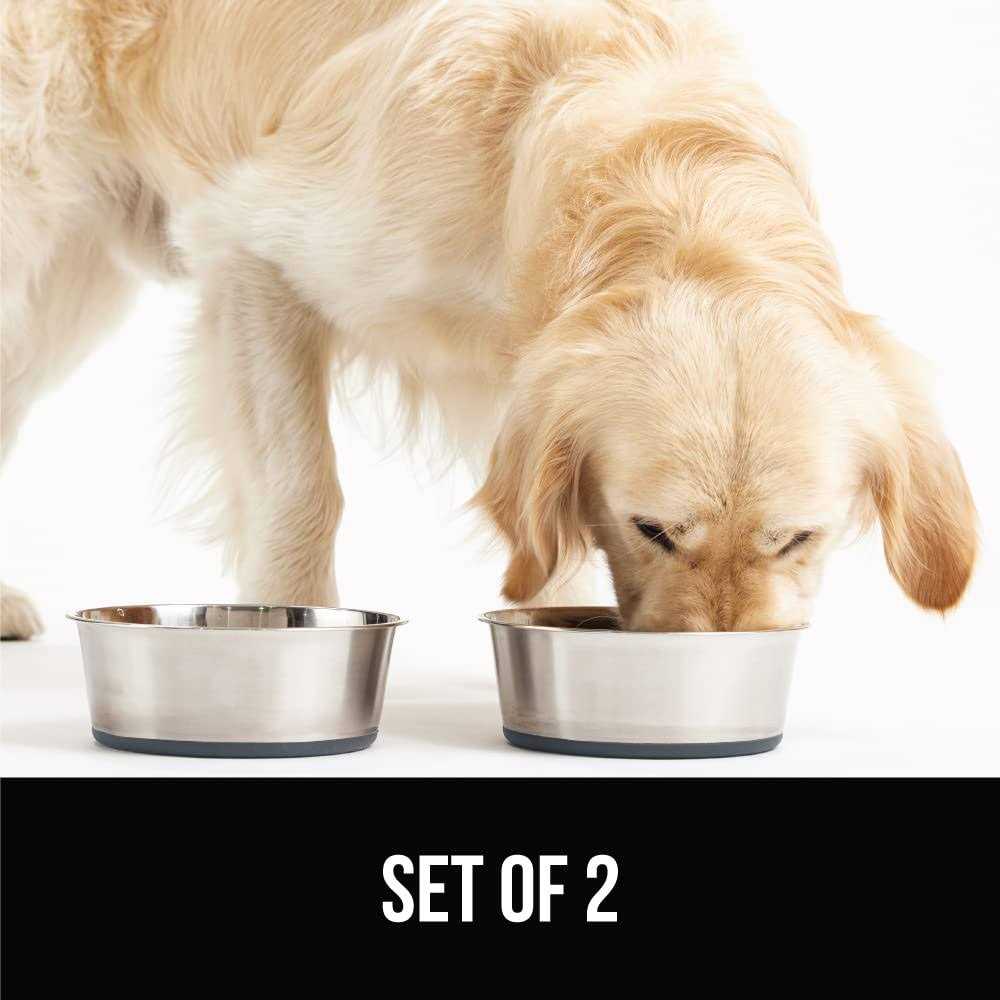Stainless Steel Dog Bowl Set of 2 J33358