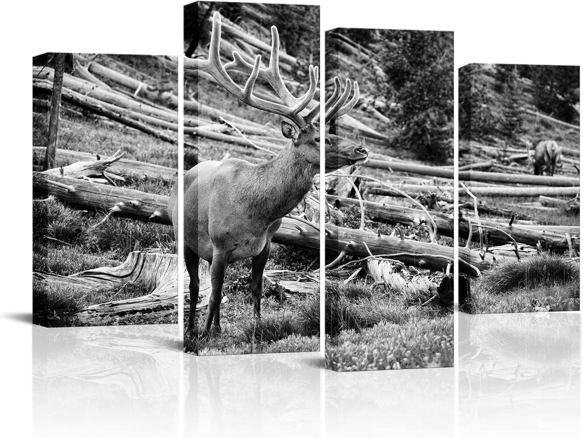 Black and White Deer Canvas Wall Art 4 Pieces P328