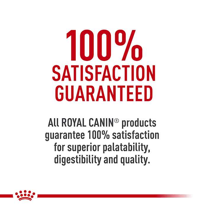 Adult Dry Dog Food Q14465