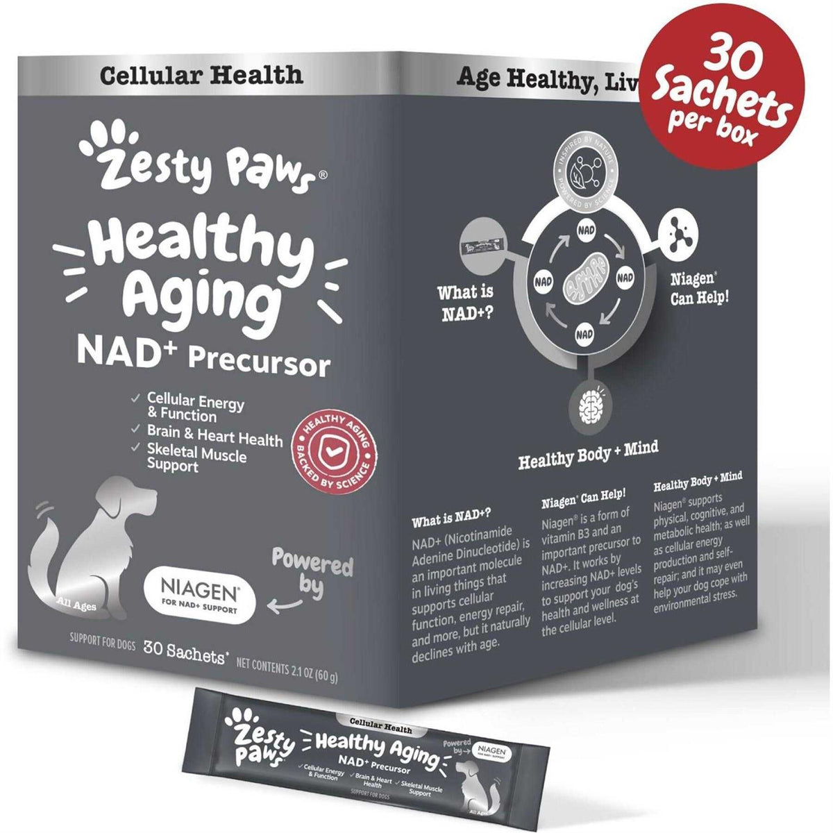 Healthy Aging Cellular Energy O5380