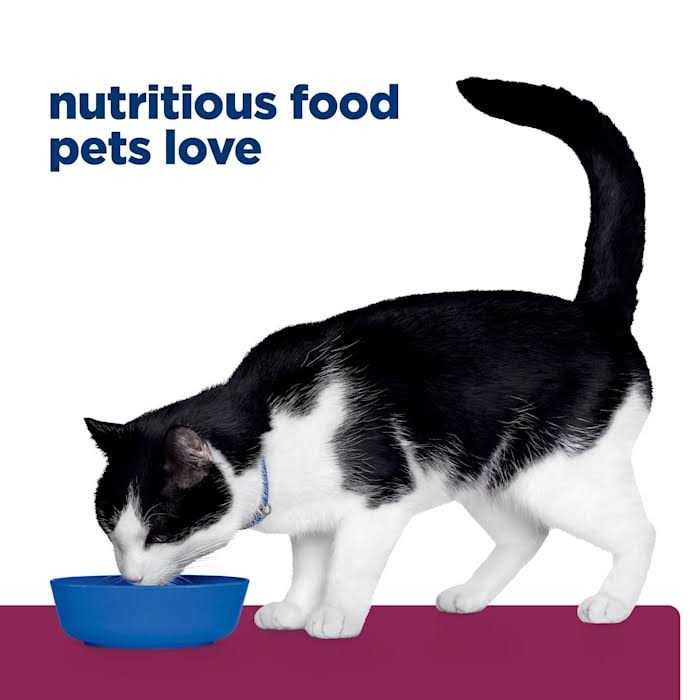 i/d Cat Nutrition V17161