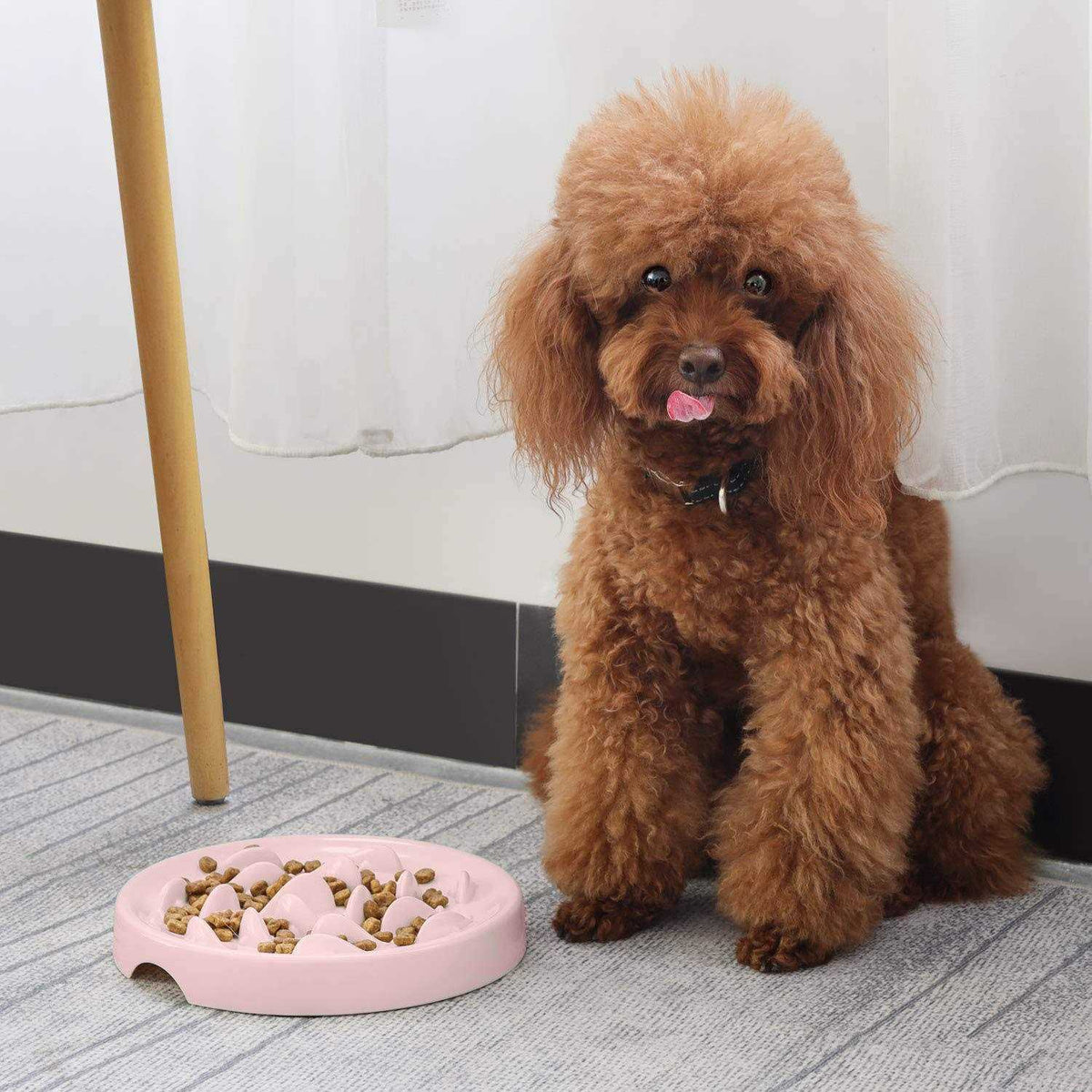 Slow Feeder Bowl for Cats and Small Dogs P960