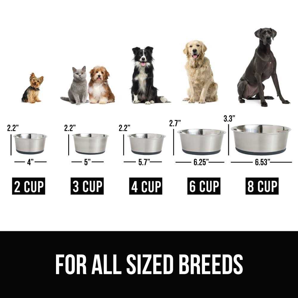 Stainless Steel Dog Bowl Set of 2 J33358