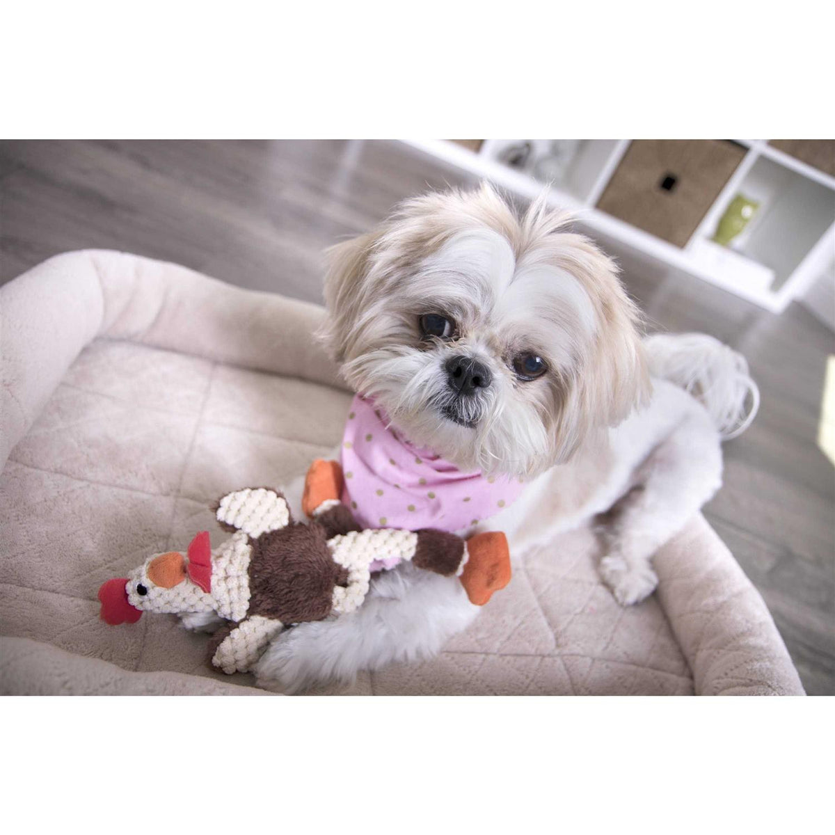 Skinny Rooster Dog Toy I41738