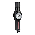 1/2 in. NPT(F) Air Filter with Regulator P405