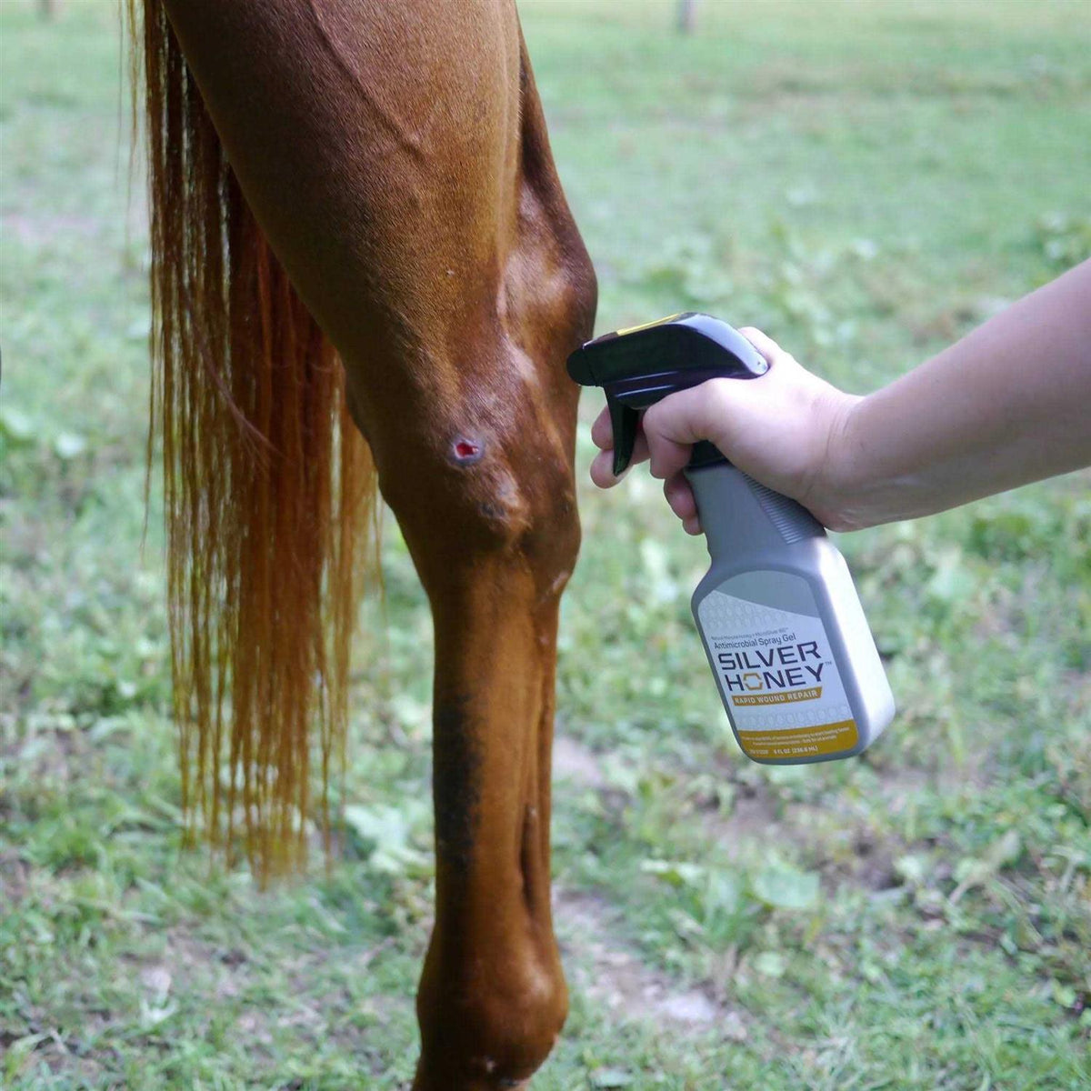 Hot Spot & Wound Care Spray Gel M2919