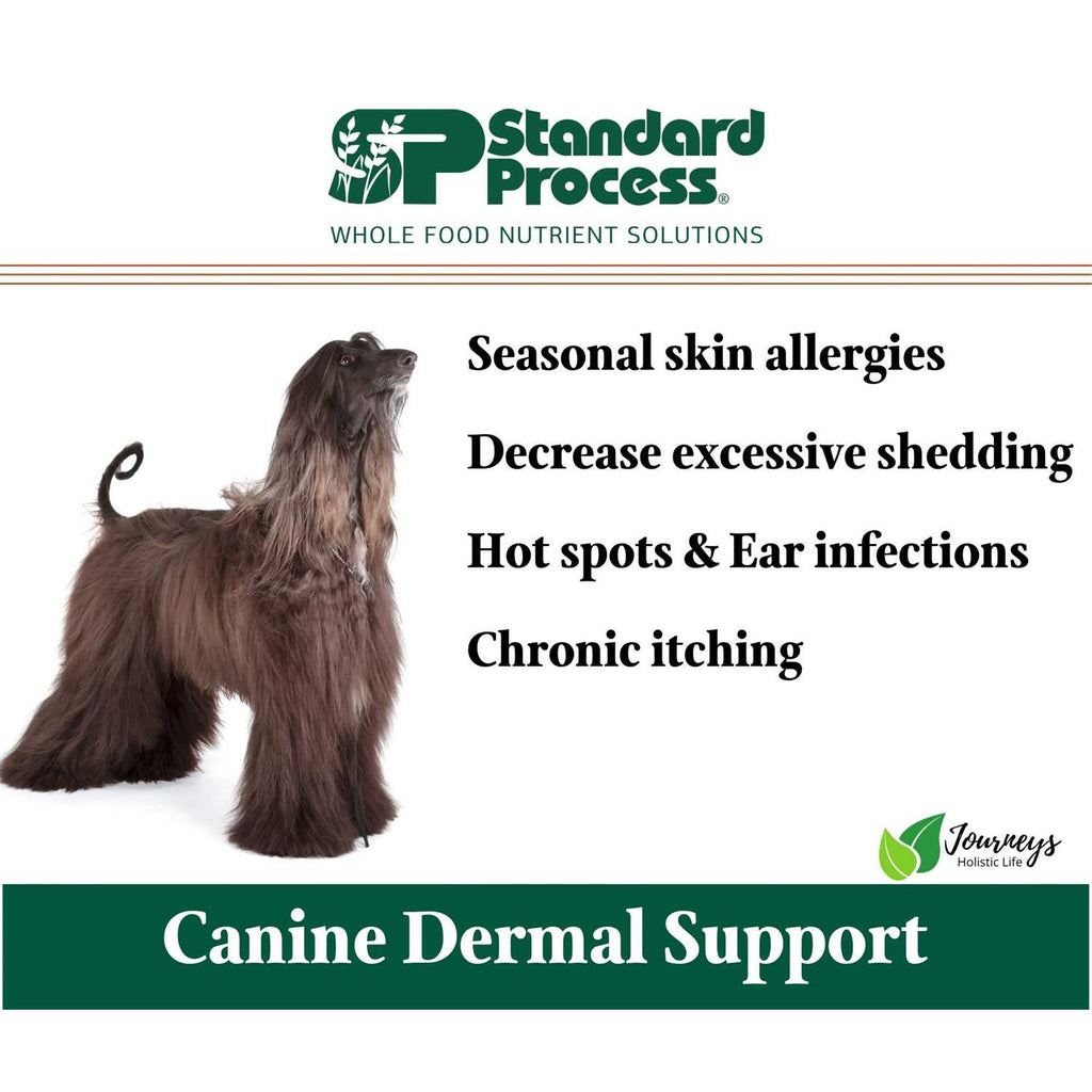 Canine Dermal Support D169
