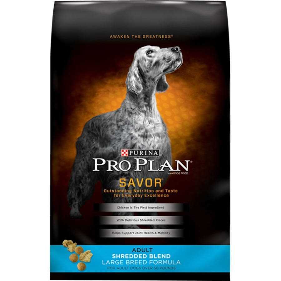 Large Breed Dry Dog Food O415485