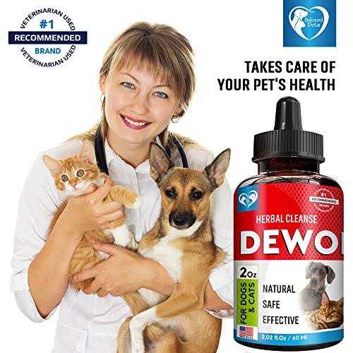 Liquid Herbal Medicine for Tapeworm, Whipworm, Roundworm, and Hookworm H922