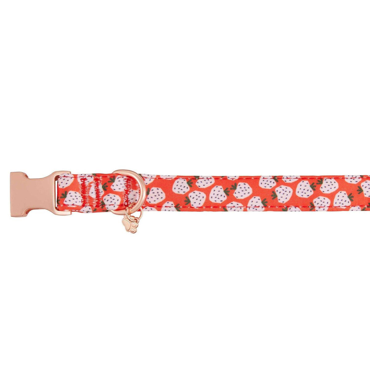 Adjustable Neoprene Dog Collar X382417